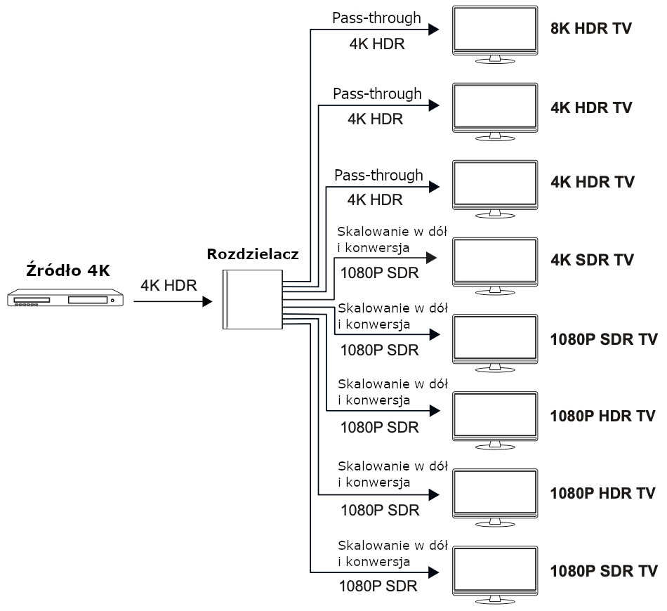 HDC-SPC18 - source 4K