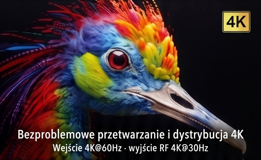 LKV679P - baner 02