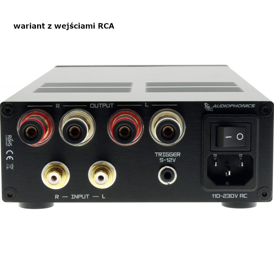 Audiophonics MPA-S250NC RCA - rear